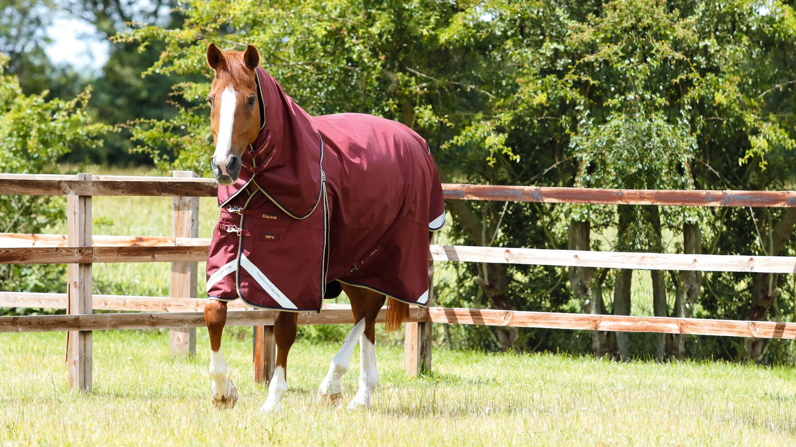 Welcome to Our Store